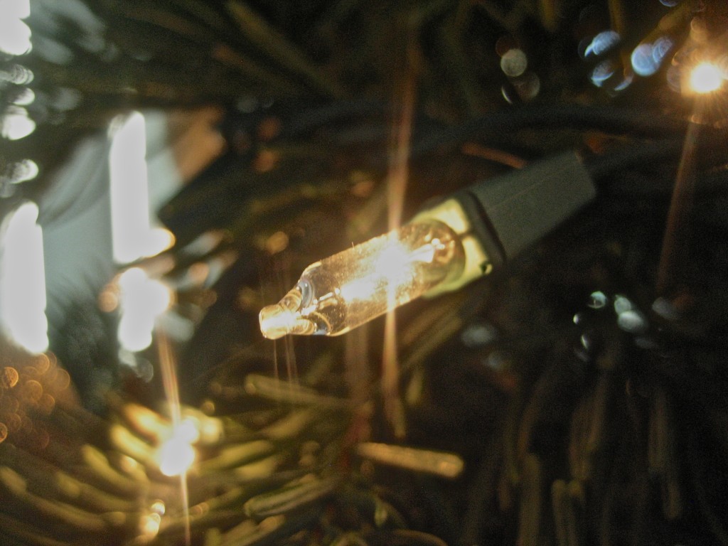 First Christmas Tree