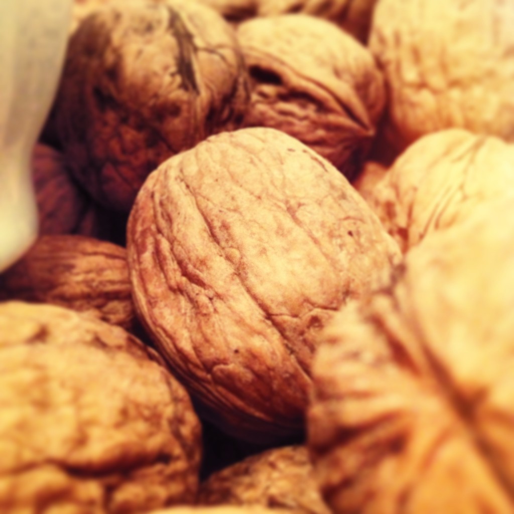 walnuts close up