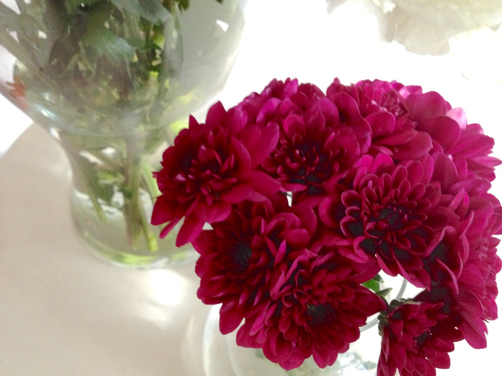 purple poms