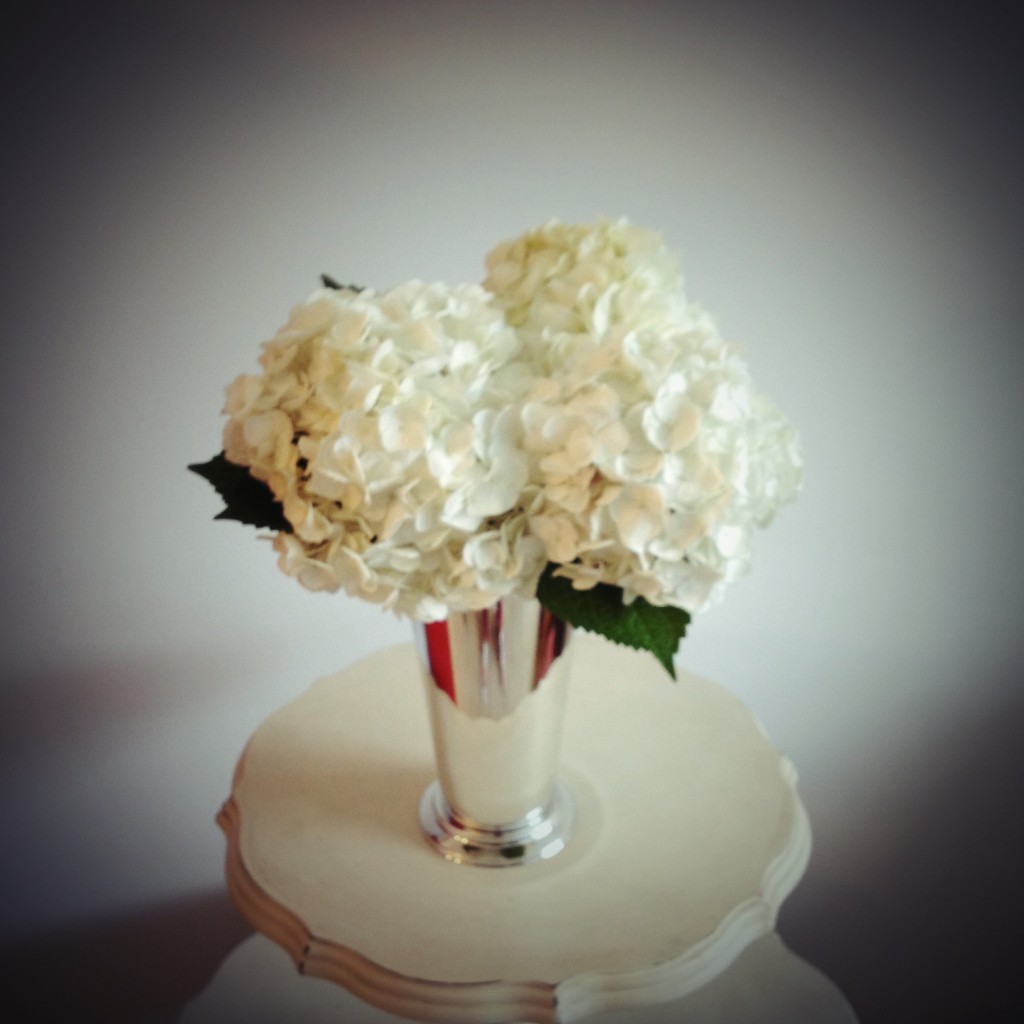 white hydrangeas