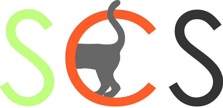 striped cat studio