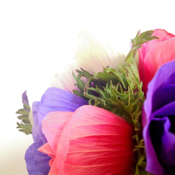 20130218-001508.jpg