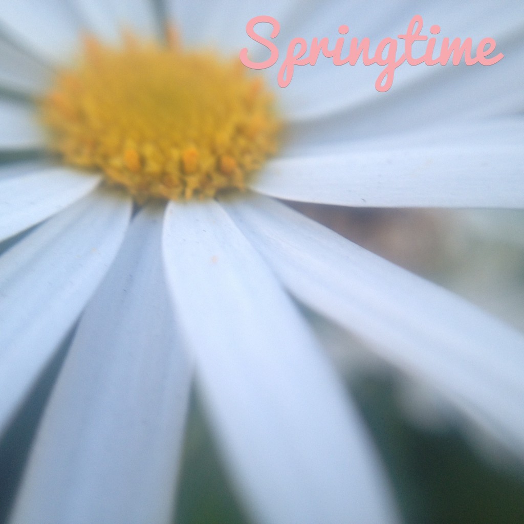 springtime