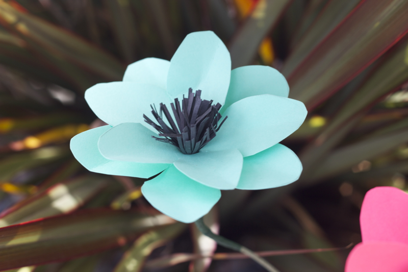 blue paper anenome