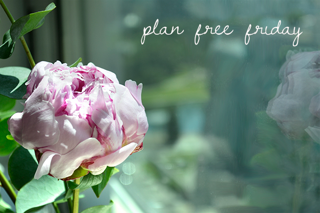 pink-peony-plan-free-friday