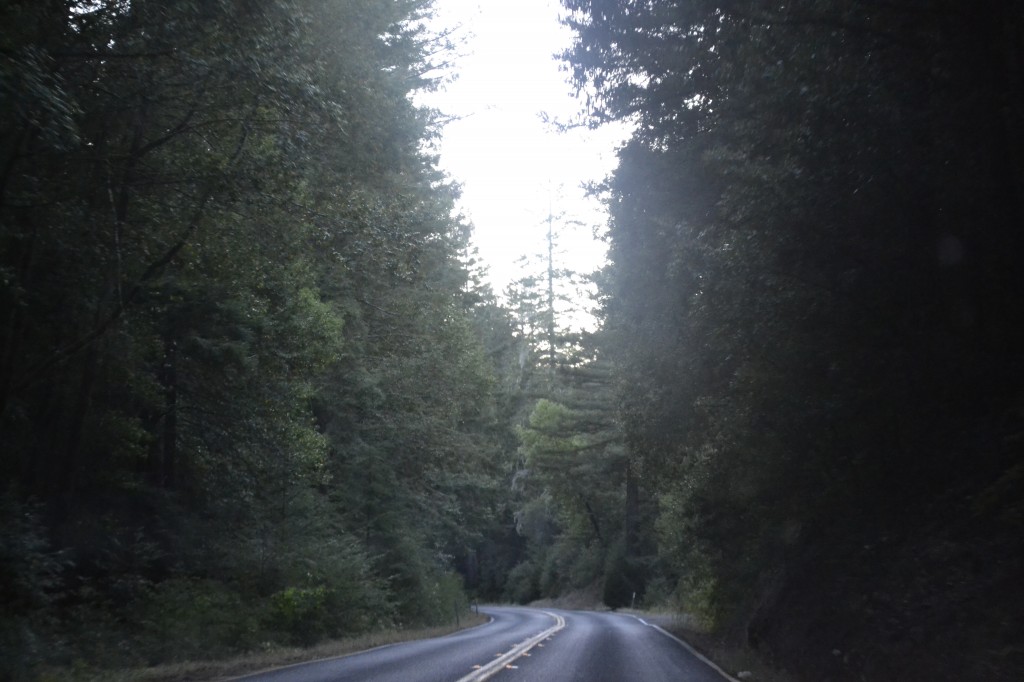 driving-to-Mendocino