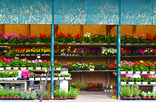 paris-flower-shop