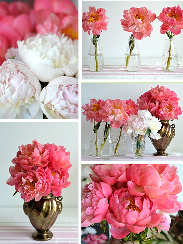 peony-arrangement