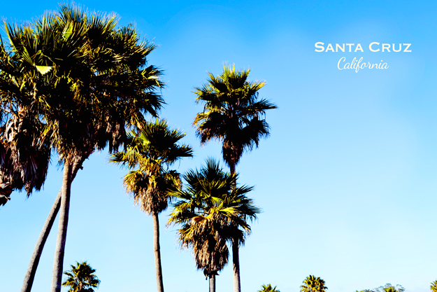 santa-cruz-boardwalk