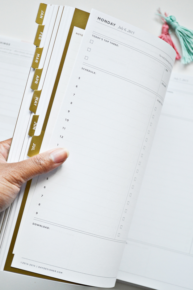 Day Designer + 2015 Planners