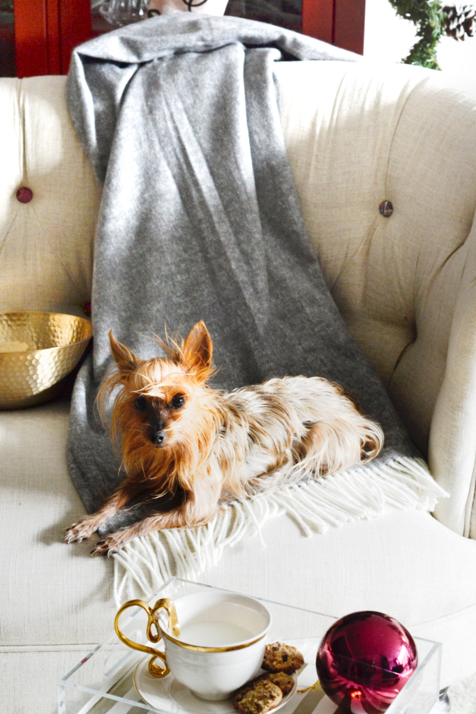 tiny-prints-holiday-corner-0702