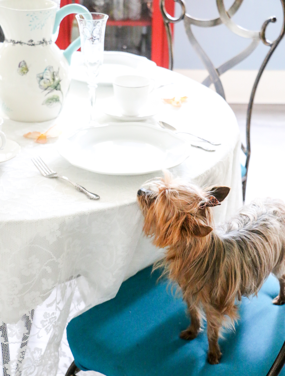 sunday-table-vintage-breakfast-5