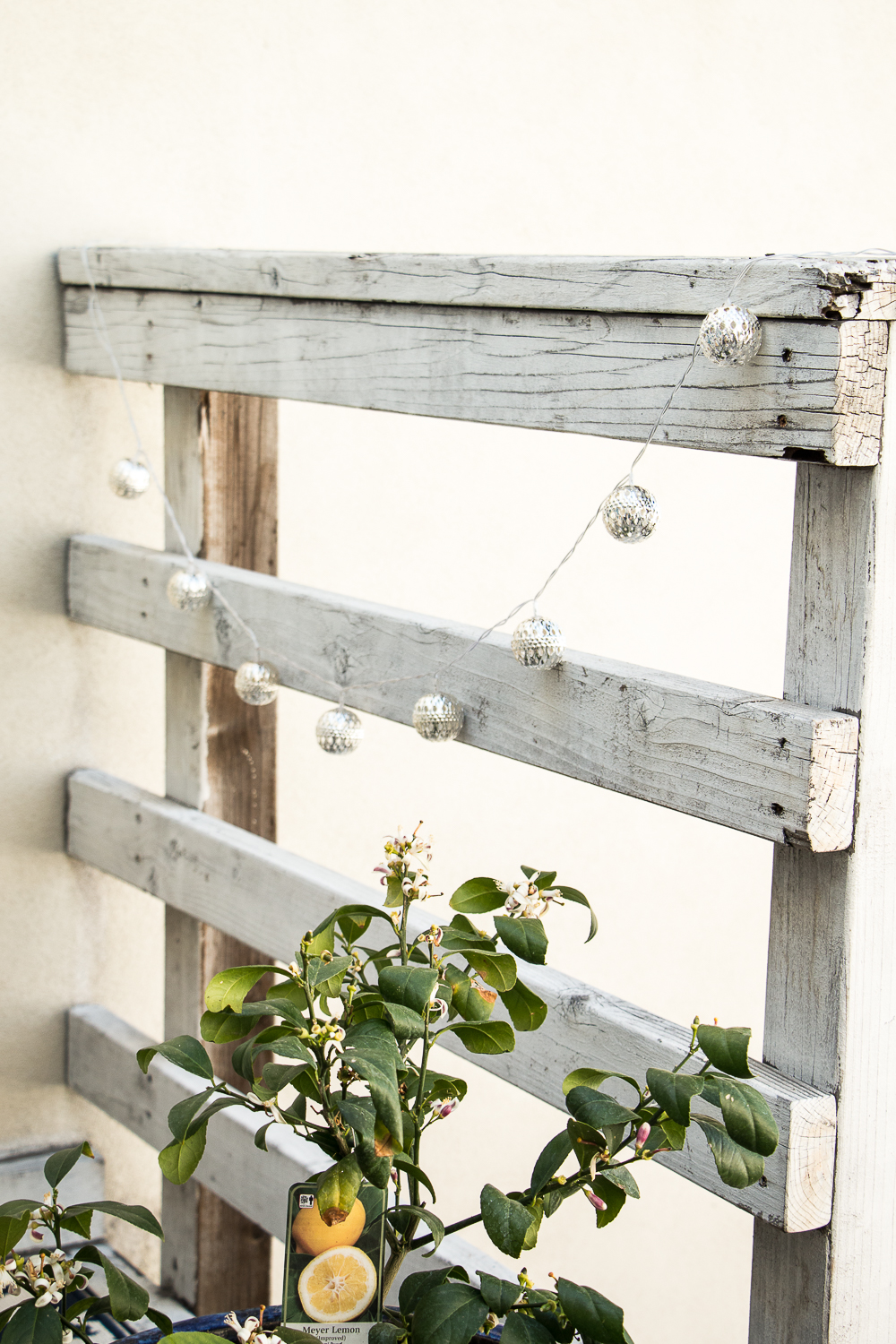 small-outdoor-space-10
