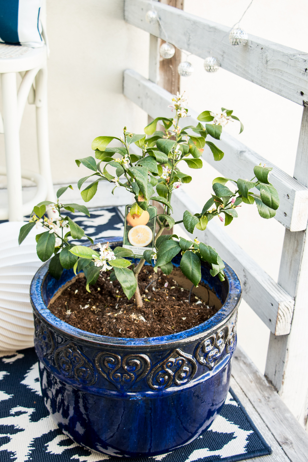 small-outdoor-space-13