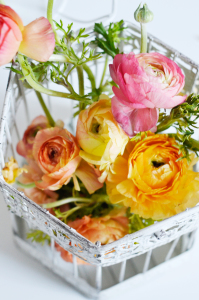 flower in birdcage