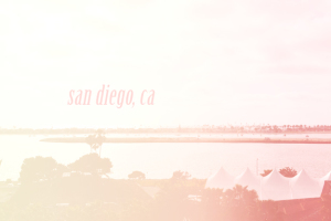 hyatt mission bay san diego
