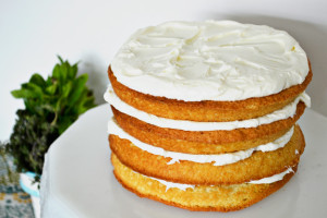 strawberry shortcake